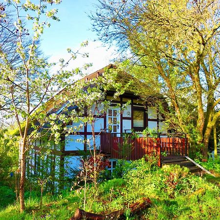 Natururlaub Frankenau Ngoại thất bức ảnh